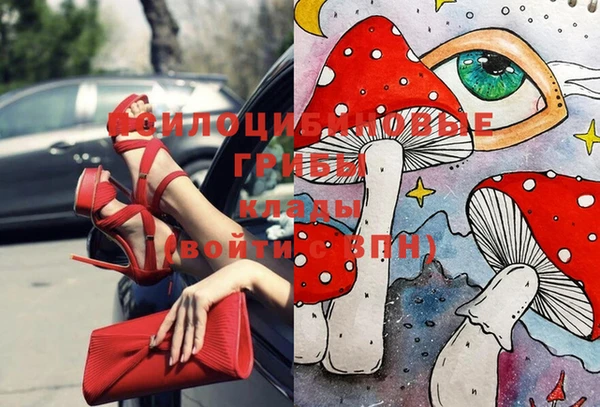 PSILOCYBIN Арсеньев